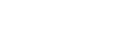 Platinum Partner